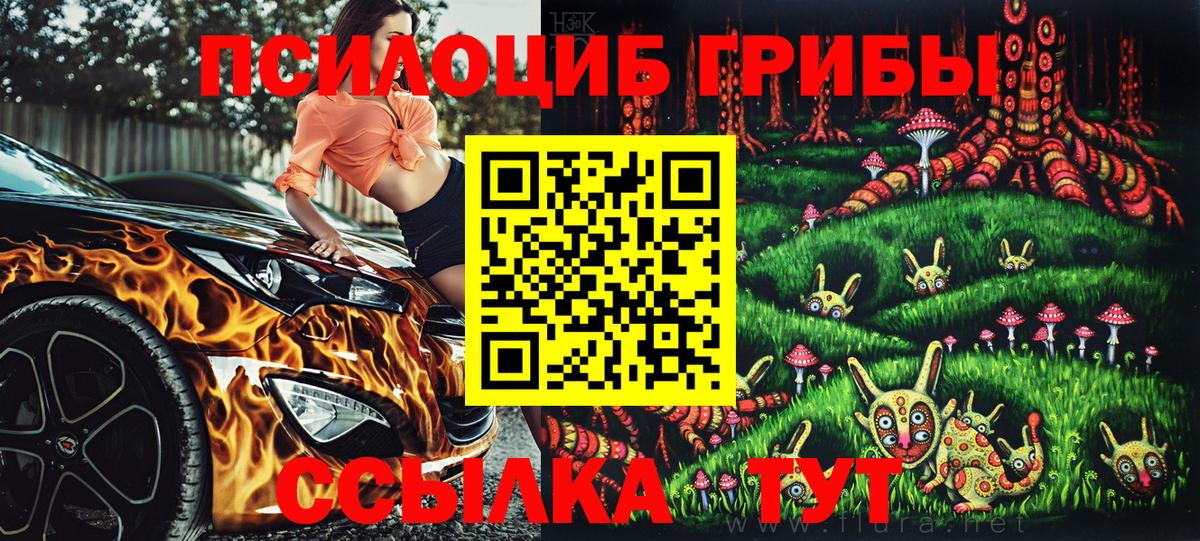 Галлюциногенные грибы прущие грибы Зеленокумск