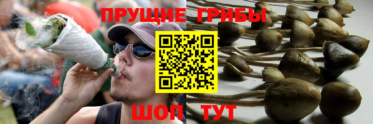Псилоцибиновые грибы мухоморы  Галлюциногенные грибы GOLDEN TEACHER  Зеленокумск  Вход с VPN 